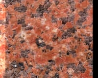 tianshanred